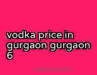 vodka price in gurgaon gurgaon 6