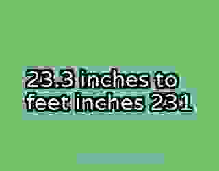 23.3 inches to feet inches 231