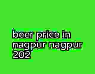beer price in nagpur nagpur 202