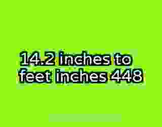 14.2 inches to feet inches 448
