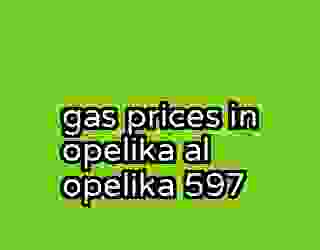 gas prices in opelika al opelika 597