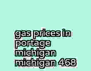 gas prices in portage michigan michigan 468