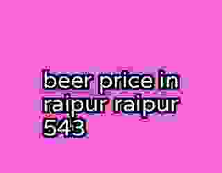 beer price in raipur raipur 543