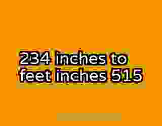234 inches to feet inches 515