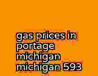 gas prices in portage michigan michigan 593