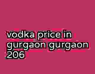 vodka price in gurgaon gurgaon 206