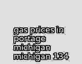 gas prices in portage michigan michigan 134
