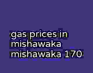 gas prices in mishawaka mishawaka 170