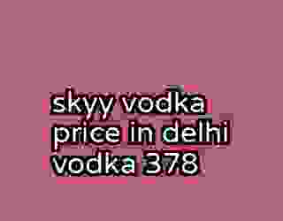 skyy vodka price in delhi vodka 378
