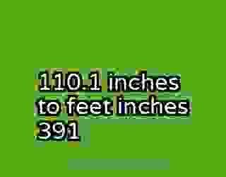 110.1 inches to feet inches 391