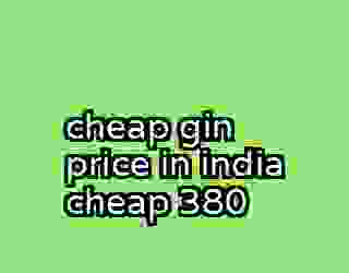 cheap gin price in india cheap 380