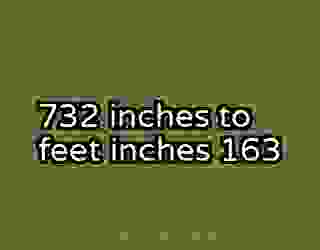 732 inches to feet inches 163