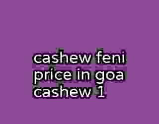 cashew feni price in goa cashew 1