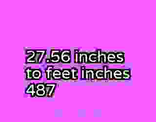 27.56 inches to feet inches 487
