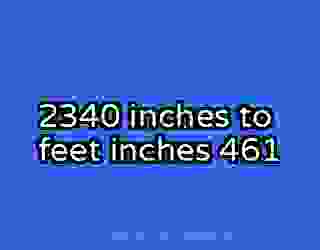 2340 inches to feet inches 461