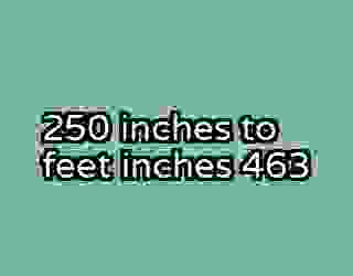 250 inches to feet inches 463