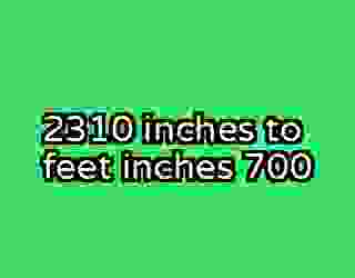2310 inches to feet inches 700