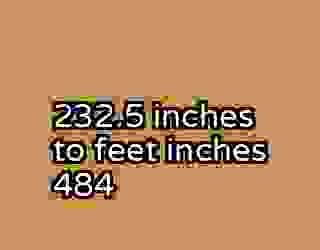 232.5 inches to feet inches 484