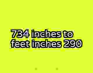 734 inches to feet inches 290