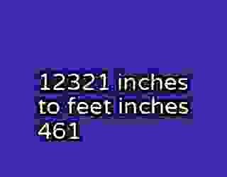 12321 inches to feet inches 461
