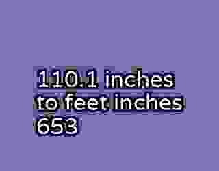 110.1 inches to feet inches 653
