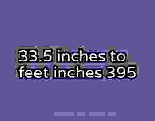 33.5 inches to feet inches 395