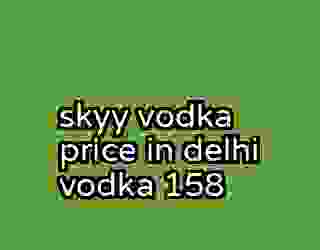 skyy vodka price in delhi vodka 158