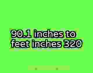 90.1 inches to feet inches 320