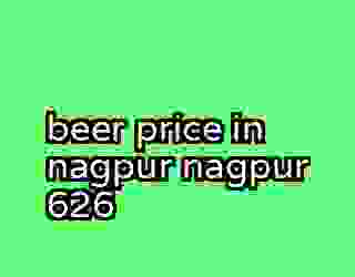 beer price in nagpur nagpur 626