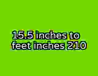 15.5 inches to feet inches 210