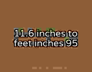 11.6 inches to feet inches 95