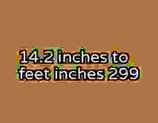 14.2 inches to feet inches 299