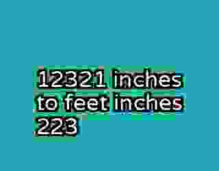 12321 inches to feet inches 223