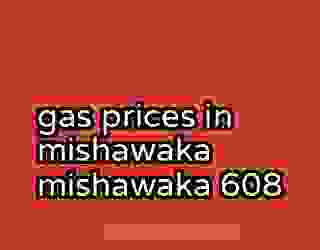 gas prices in mishawaka mishawaka 608