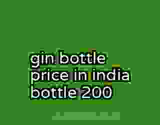 gin bottle price in india bottle 200