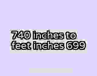 740 inches to feet inches 699