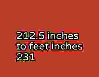 212.5 inches to feet inches 231