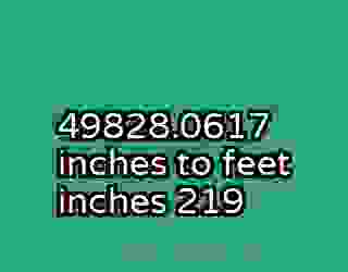 49828.0617 inches to feet inches 219
