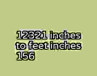 12321 inches to feet inches 156