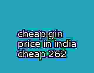 cheap gin price in india cheap 262