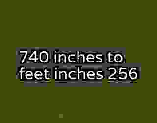 740 inches to feet inches 256