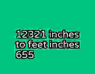 12321 inches to feet inches 655