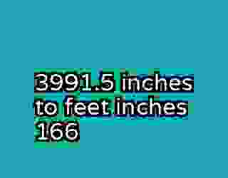 3991.5 inches to feet inches 166