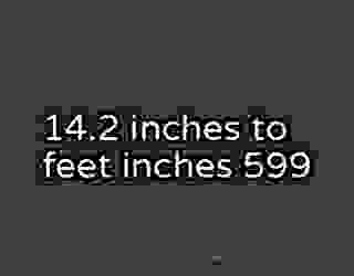 14.2 inches to feet inches 599