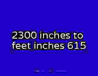 2300 inches to feet inches 615