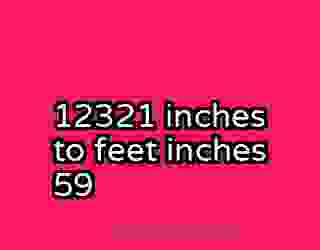 12321 inches to feet inches 59