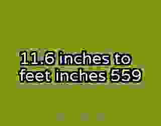 11.6 inches to feet inches 559