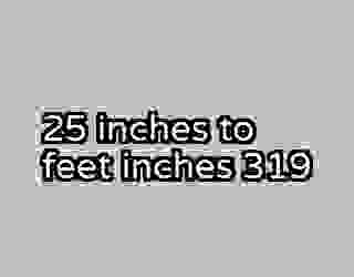 25 inches to feet inches 319