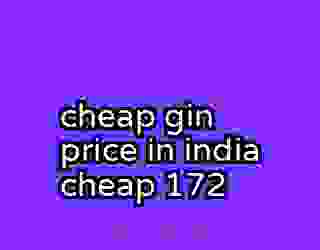 cheap gin price in india cheap 172
