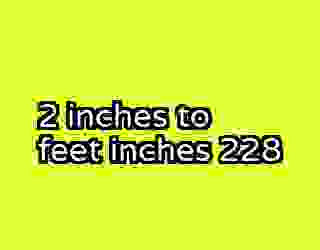 2 inches to feet inches 228